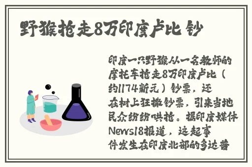 国产乱码精品aaaaaaaa